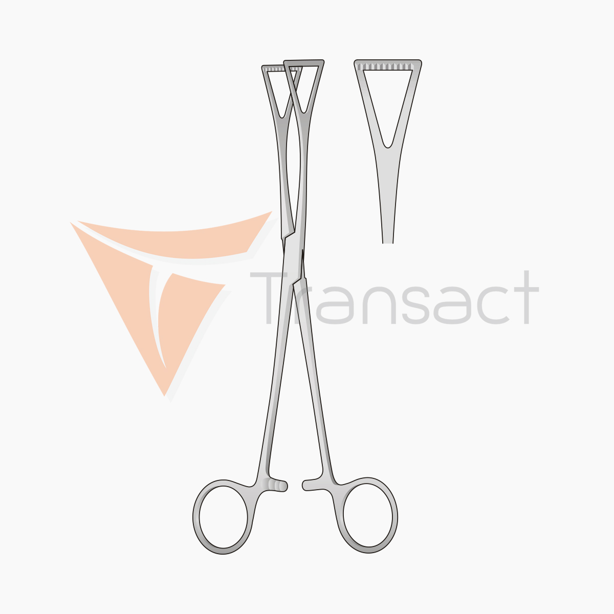 duval-tissu-forceps